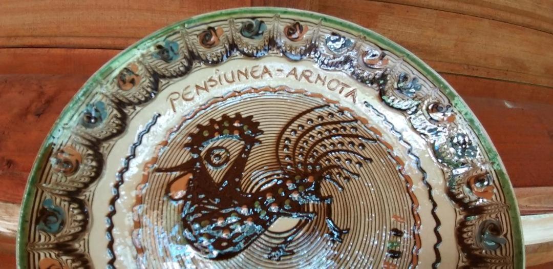 Willa Arnota Costesti  Zewnętrze zdjęcie